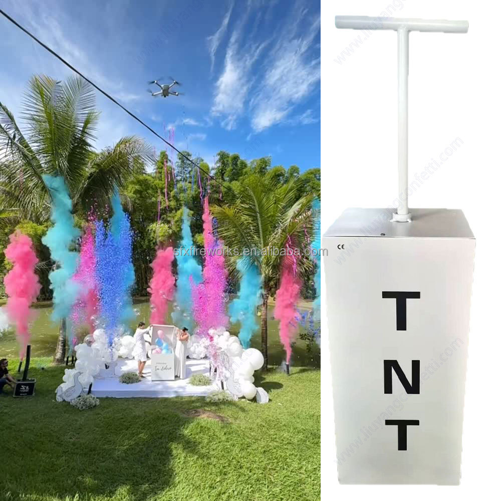Electric Gender Reveal Smoke B - Confetti Cannon Tube บทวิจารณ์และราคา