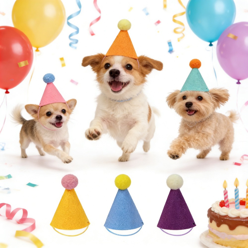 3/6pcs Pet Party Hat Colorful  - Party Hat Cone บทวิจารณ์และราคา