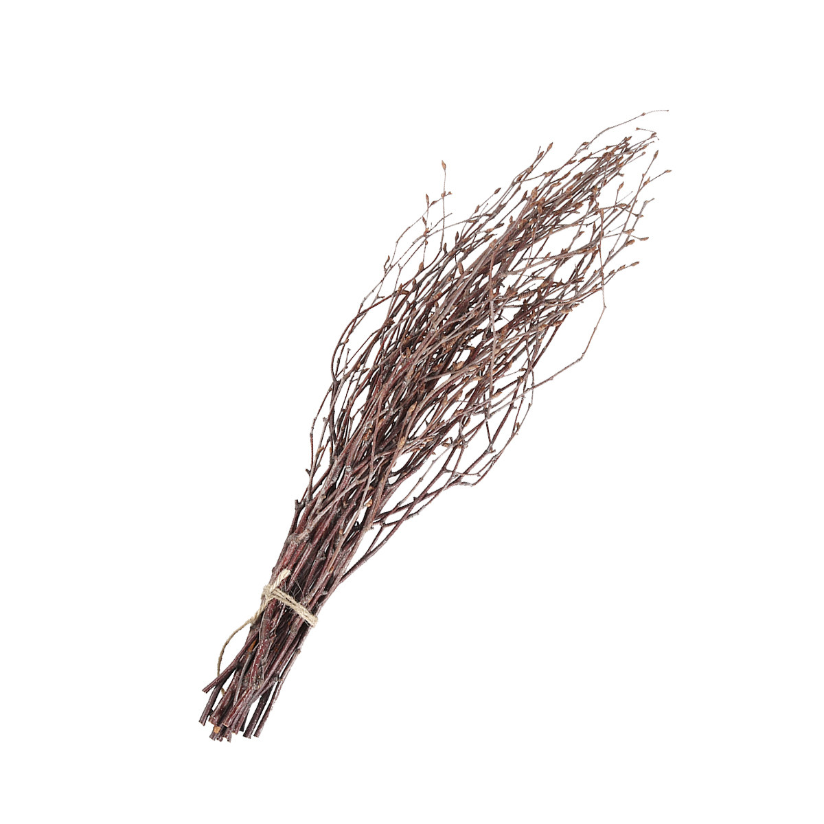 10Pcs 40Cm Birch Branches Real - Centerpiece Stick บทวิจารณ์และราคา
